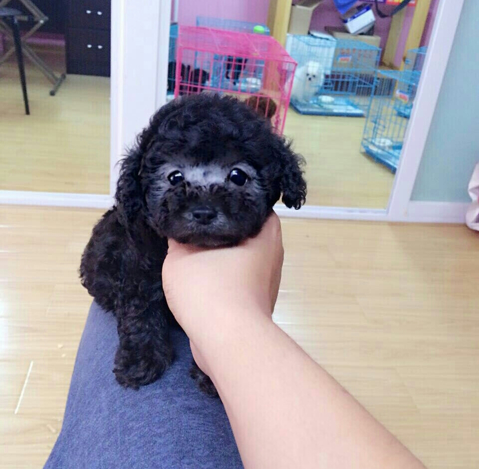 银茶杯卖